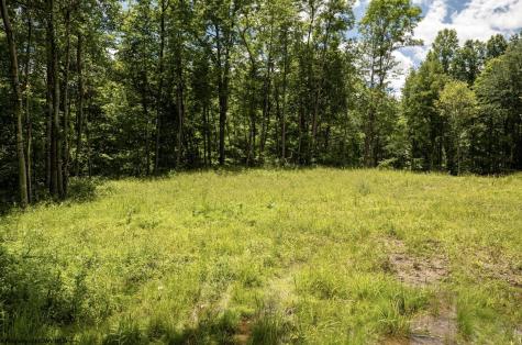 20 Lake Island Drive Belington WV 26250