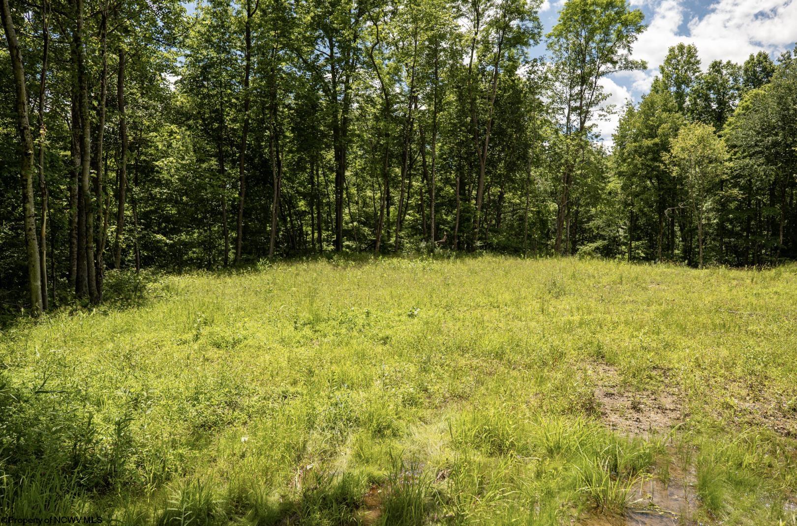 20 Lake Island Drive Belington WV 26250