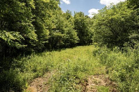 20 Lake Island Drive Belington WV 26250