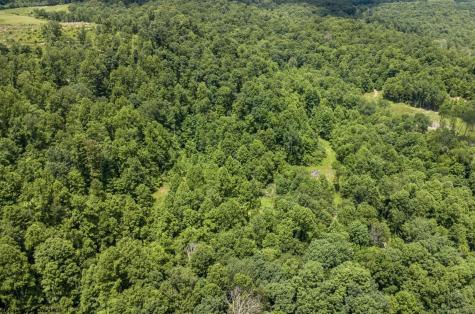 20 Lake Island Drive Belington WV 26250
