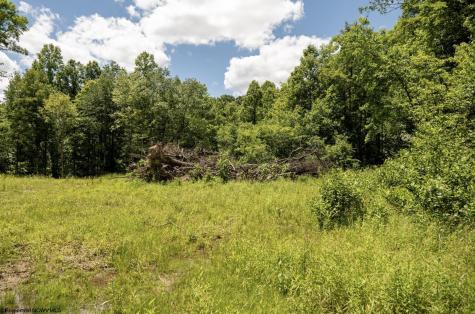 20 Lake Island Drive Belington WV 26250