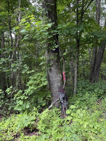 21 Pyles Frk Fork Mannington WV 26582