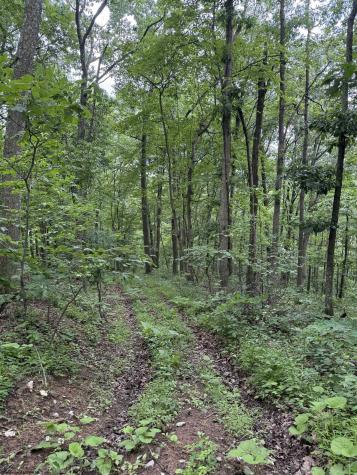 21 Pyles Frk Fork Mannington WV 26582