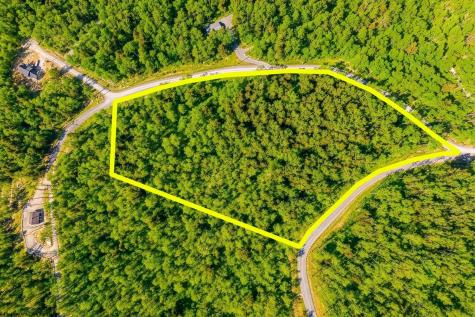 153 Riverstone Landing Bruceton Mills WV 26525