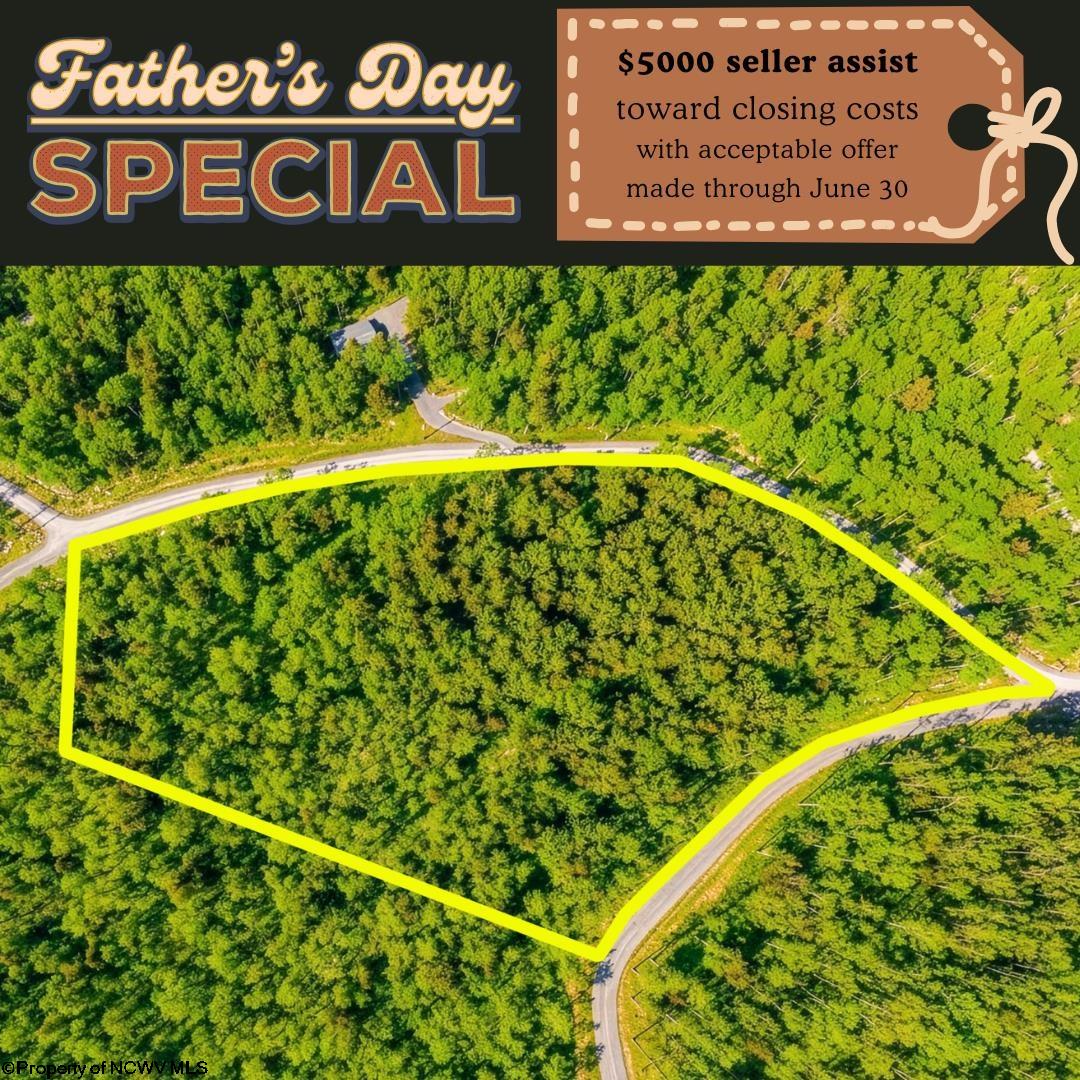 153 Riverstone Landing Bruceton Mills WV 26525