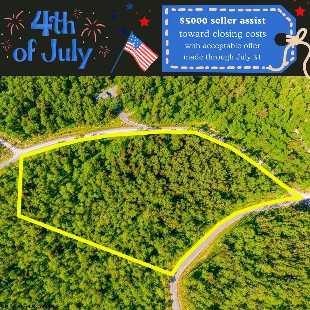 153 Riverstone Landing Bruceton Mills WV 26525