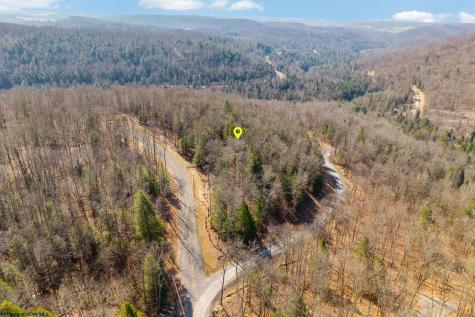 153 Riverstone Landing Bruceton Mills WV 26525