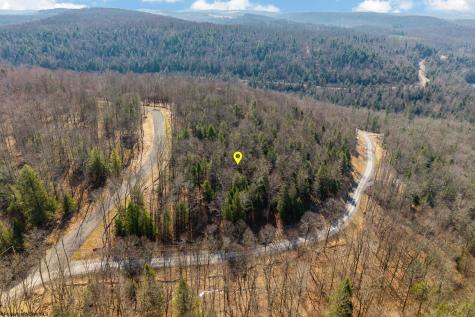 153 Riverstone Landing Bruceton Mills WV 26525