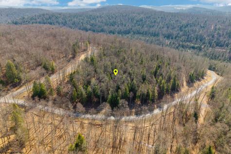 153 Riverstone Landing Bruceton Mills WV 26525