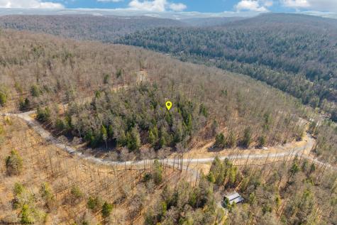 153 Riverstone Landing Bruceton Mills WV 26525