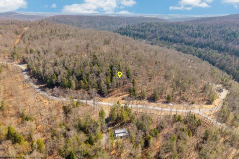 153 Riverstone Landing Bruceton Mills WV 26525