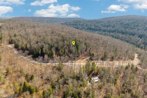 153 Riverstone Landing Bruceton Mills WV 26525
