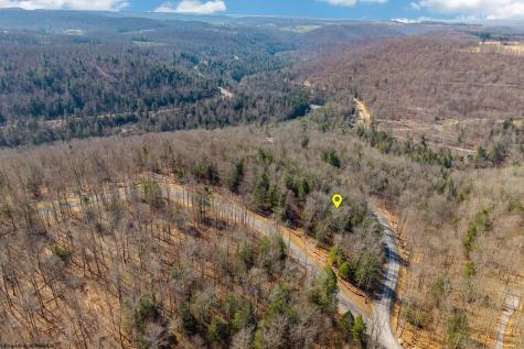 153 Riverstone Landing Bruceton Mills WV 26525