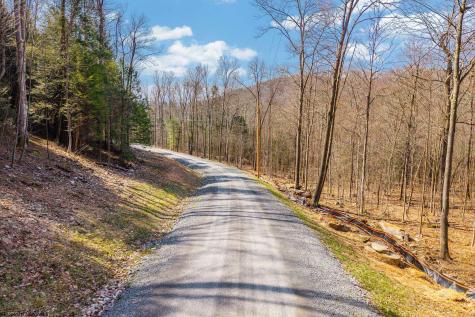 153 Riverstone Landing Bruceton Mills WV 26525
