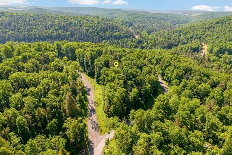 153 Riverstone Landing Bruceton Mills WV 26525