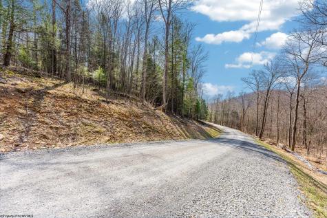 153 Riverstone Landing Bruceton Mills WV 26525