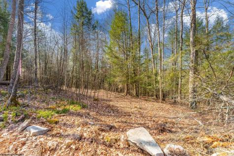 153 Riverstone Landing Bruceton Mills WV 26525