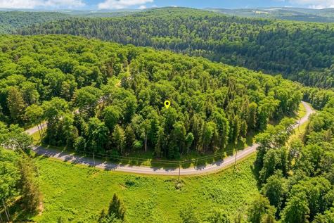 153 Riverstone Landing Bruceton Mills WV 26525