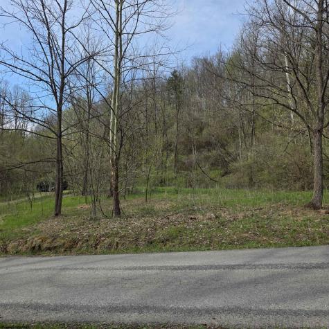 TBD Crooked Fork Road Walkersville WV 26447