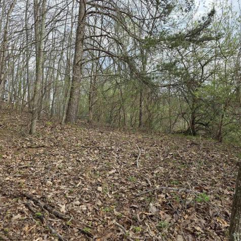 0 Crooked Fork Road Walkersville WV 26447