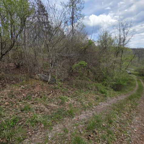 TBD Crooked Fork Road Walkersville WV 26447