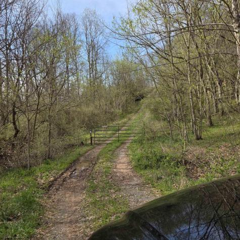 TBD Crooked Fork Road Walkersville WV 26447