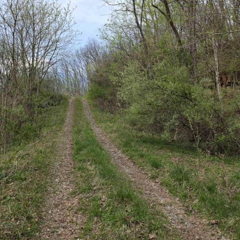 0 Crooked Fork Road Walkersville WV 26447