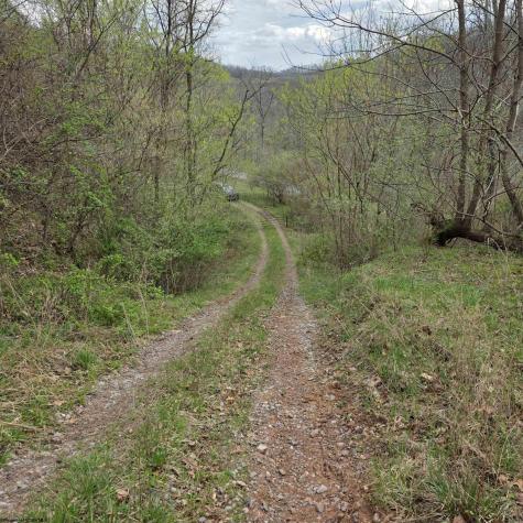 0 Crooked Fork Road Walkersville WV 26447