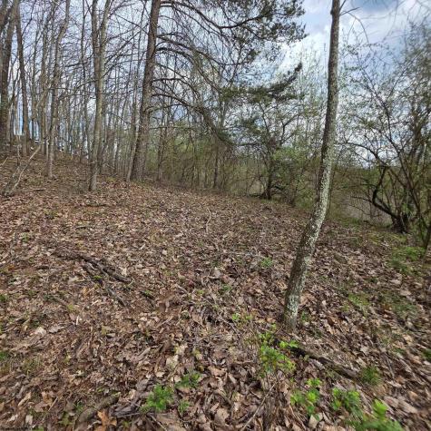 0 Crooked Fork Road Walkersville WV 26447