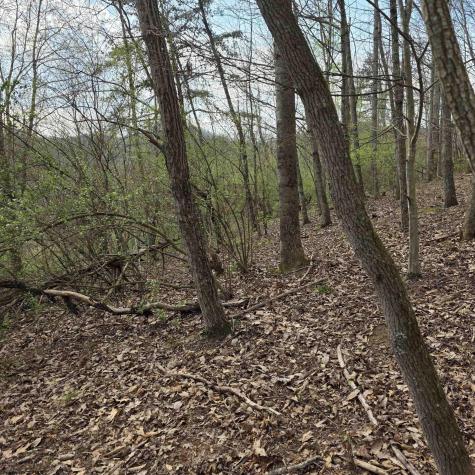 0 Crooked Fork Road Walkersville WV 26447