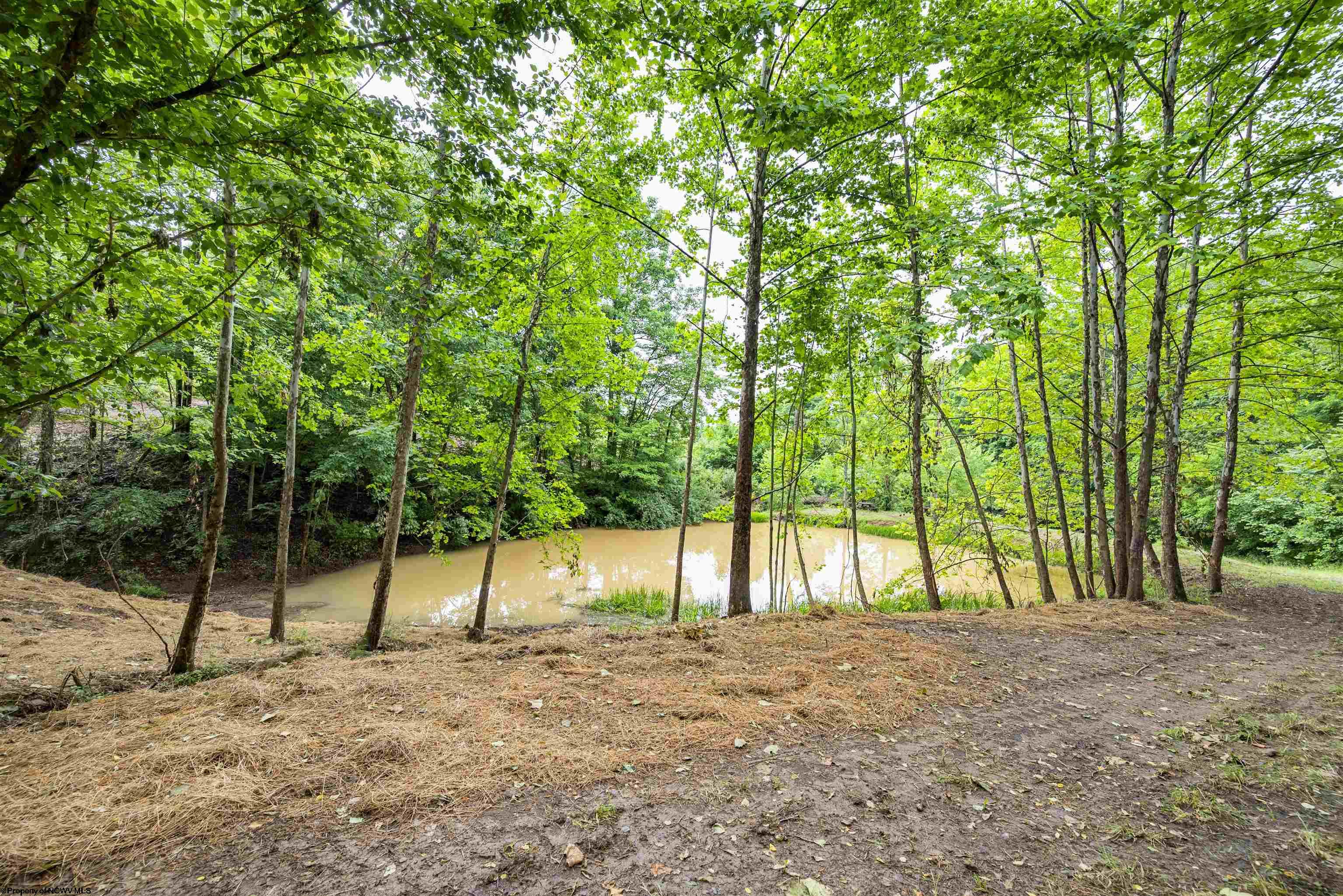 1 Tulip Lane Fairmont WV 26554