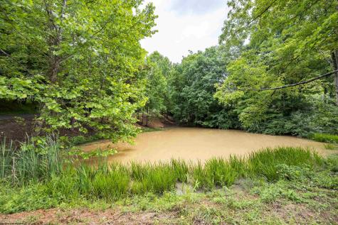 1 Tulip Lane Fairmont WV 26554