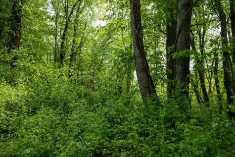 1 Opekiska Road Fairmont WV 26554