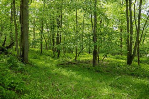 1 Opekiska Road Fairmont WV 26554