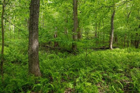 1 Opekiska Road Fairmont WV 26554