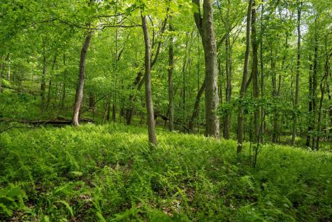 1 Opekiska Road Fairmont WV 26554