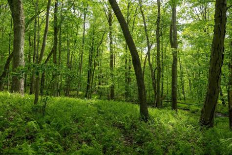 1 Opekiska Road Fairmont WV 26554