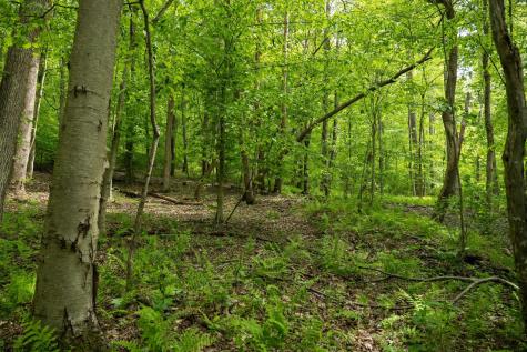 1 Opekiska Road Fairmont WV 26554