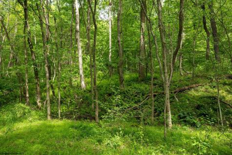 1 Opekiska Road Fairmont WV 26554