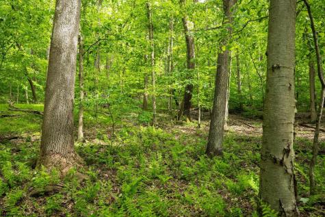 1 Opekiska Road Fairmont WV 26554
