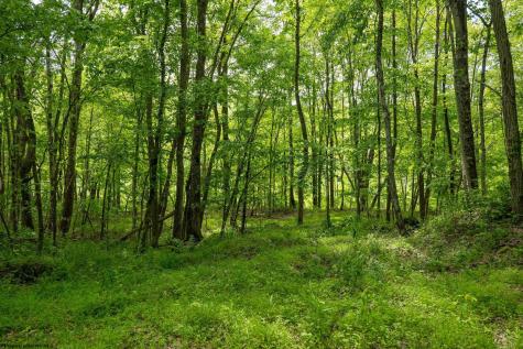 1 Opekiska Road Fairmont WV 26554