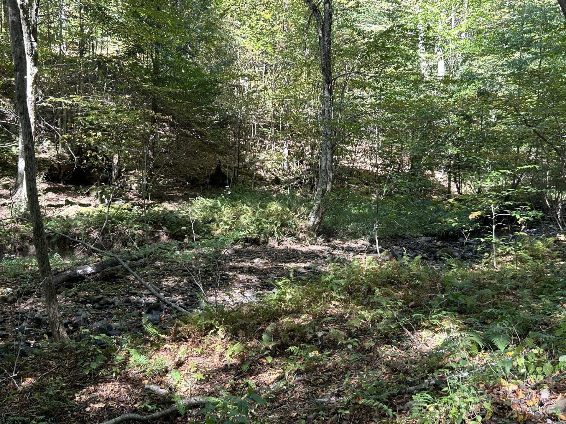 2 Possum Hollow Road Terra Alta WV 26764