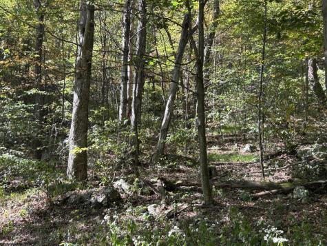 2 Possum Hollow Road Terra Alta WV 26764