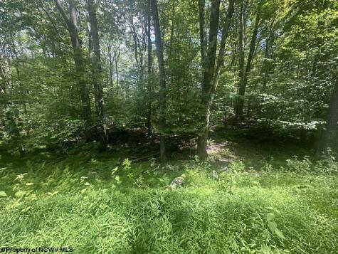 222 Woodbine Drive Terra Alta WV 26764