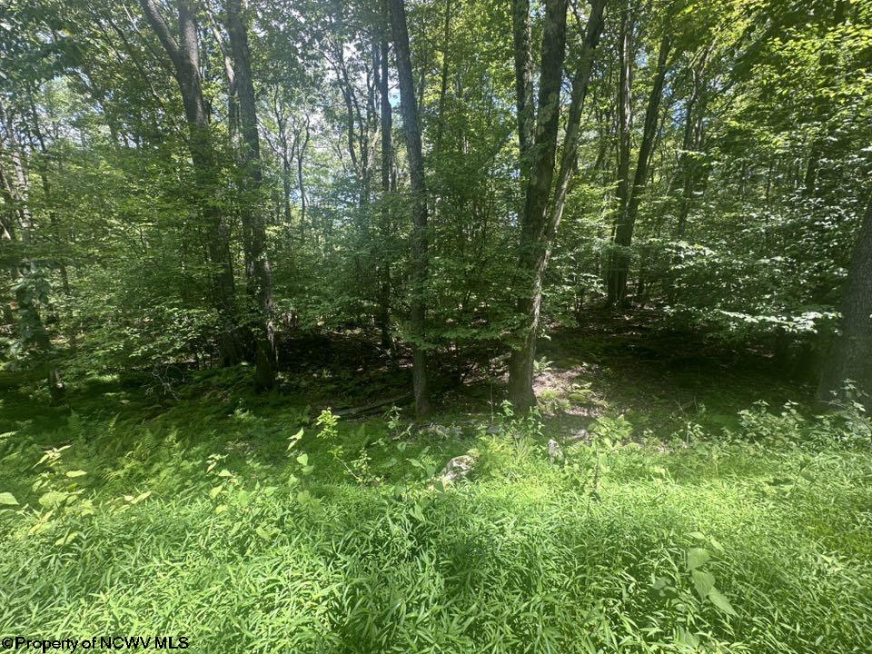 222 Woodbine Drive Terra Alta WV 26764