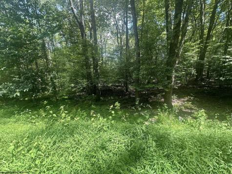 222 Woodbine Drive Terra Alta WV 26764