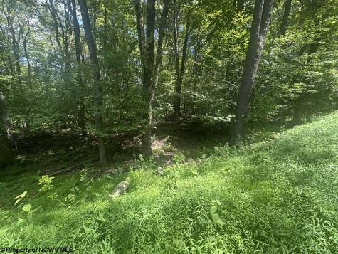 222 Woodbine Drive Terra Alta WV 26764