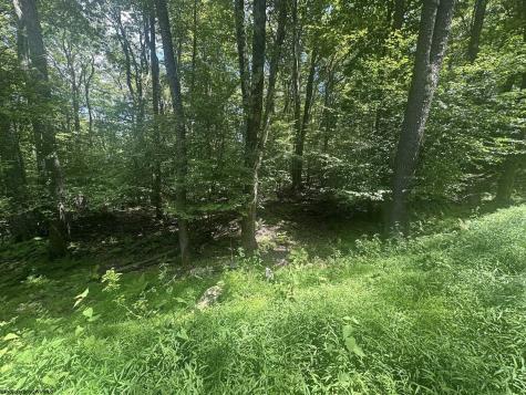 222 Woodbine Drive Terra Alta WV 26764