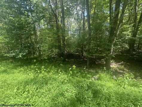 222 Woodbine Drive Terra Alta WV 26764