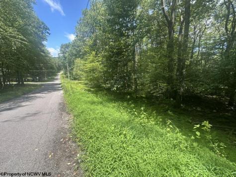 222 Woodbine Drive Terra Alta WV 26764